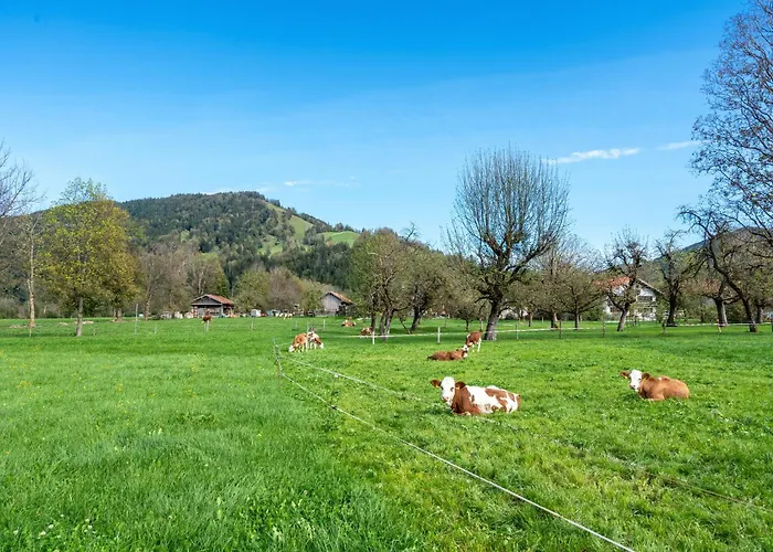 Brauneck Apartamento